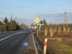 Łąkoszyńska gotowa