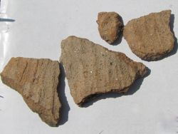 W Zygrach wraz z drogowcami pracuje archeolog